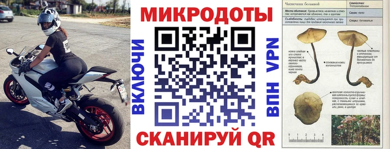 Псилоцибиновые грибы Psilocybine cubensis  Донецк 